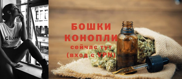 сатива Аркадак