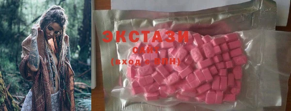 сатива Аркадак