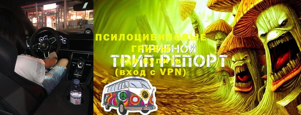 сатива Аркадак
