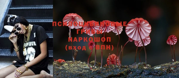 spice Армянск