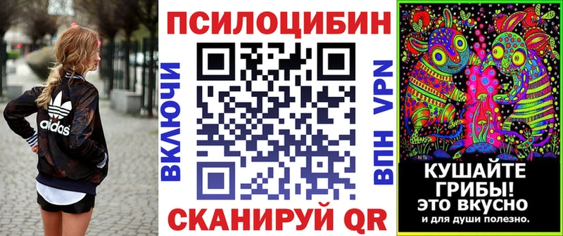 сайты даркнета телеграм Бокситогорск Галлюциногенные грибы Magic Shrooms
